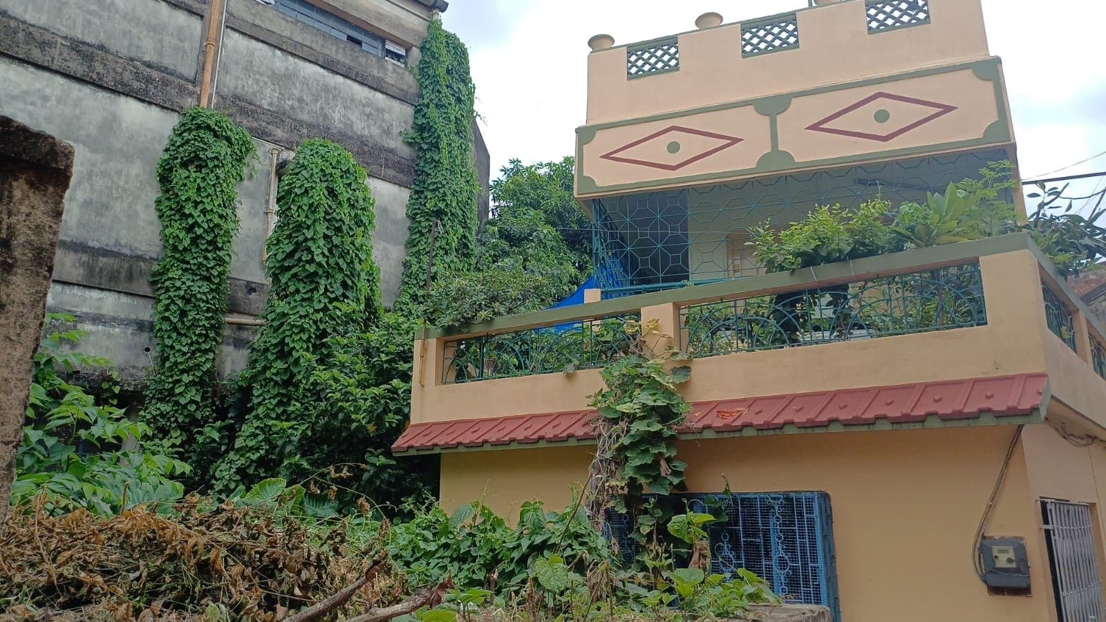 Chinsurah: আগাছায় ভরা শিশু বিজ্ঞান কেন্দ্রে সাপের উপদ্রব, চুঁচুড়ায় আতঙ্কে দিশেহারা স্থানীয়রা 