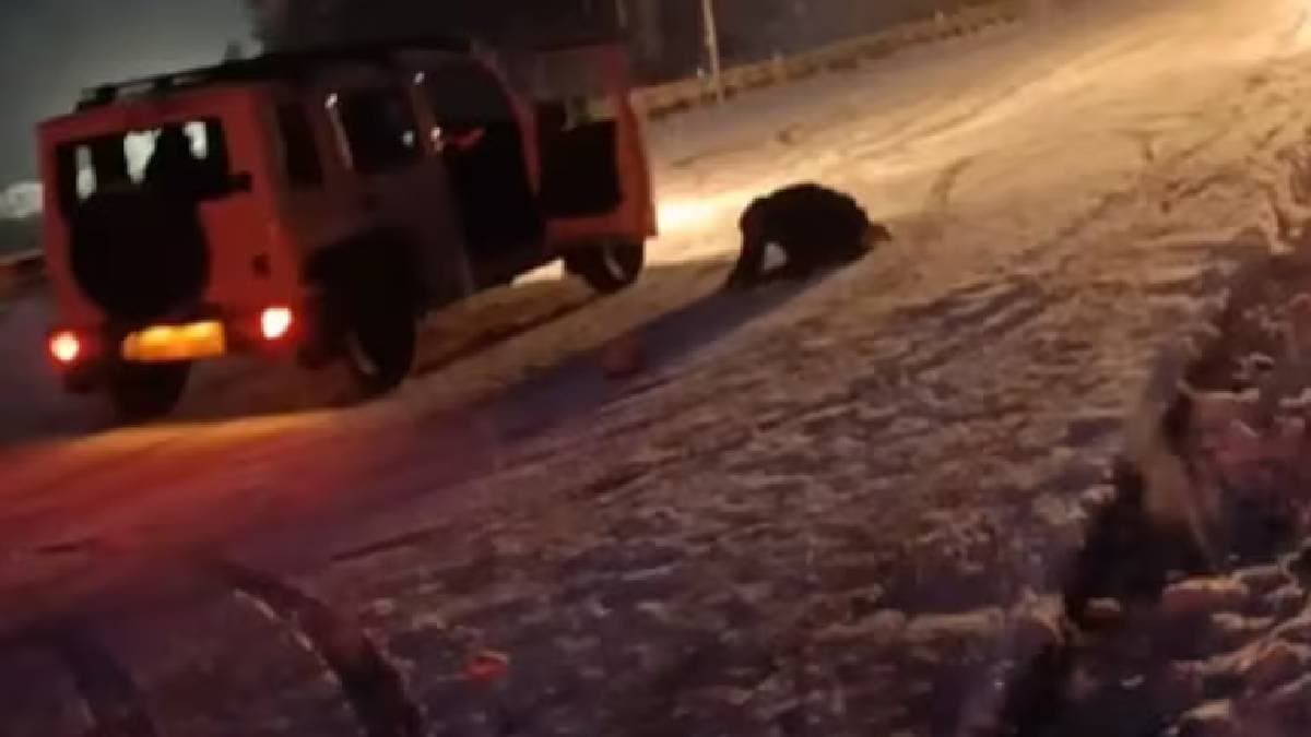 Man Jumps Out Of Moving Car As It Skids On Snowy Road Near Manali