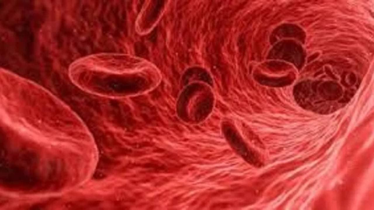 Health Tips: These foods remove all impurities from the blood