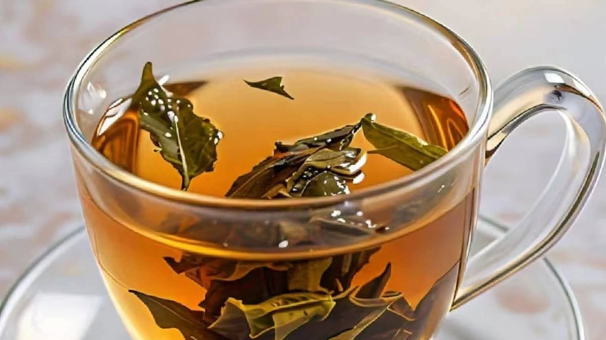 Health tips benefits of tulsi leaves