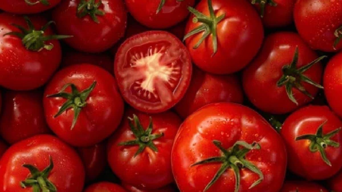 Tomato Prices Soar 400 percent In Pakistan here the reason 