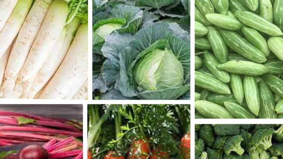 রক্তচাপ থাকে নিয়ন্ত্রণে, বাড়ে রোগ প্রতিরোধ ক্ষমতাও, শীত স্পেশাল এই সাদা সবজির বাকি গুণাগুণ জানলে অবাক হবেন আপনিও 