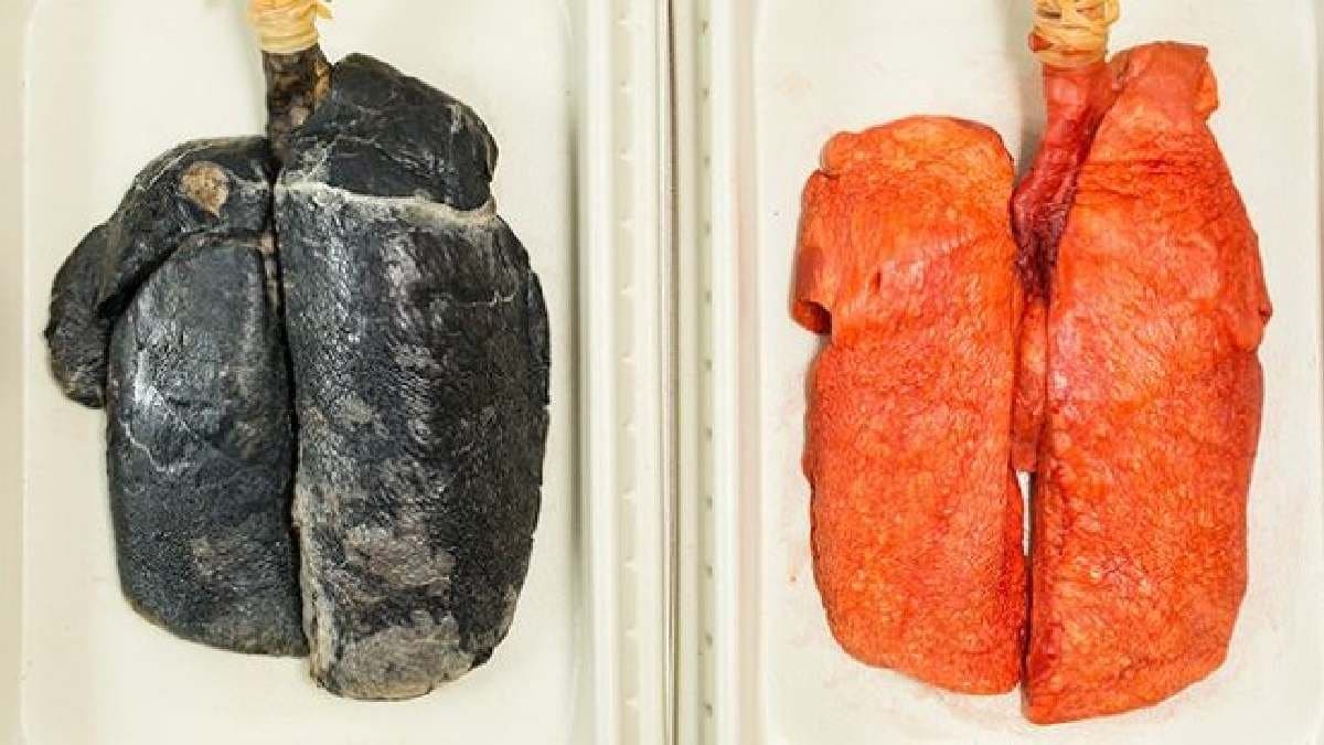 Lime warm water and green tea among best home remedies of dirty lungs