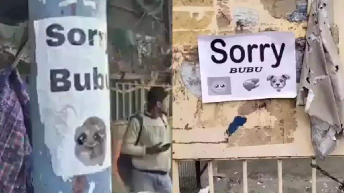 Mysterious Sorry Bubu poster seen in various places in Uttar Pradesh gnr