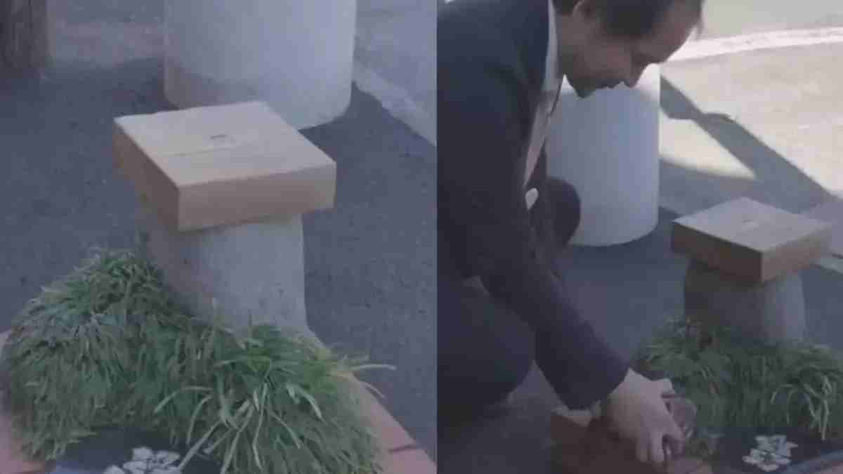 World’s Smallest Park  in japan