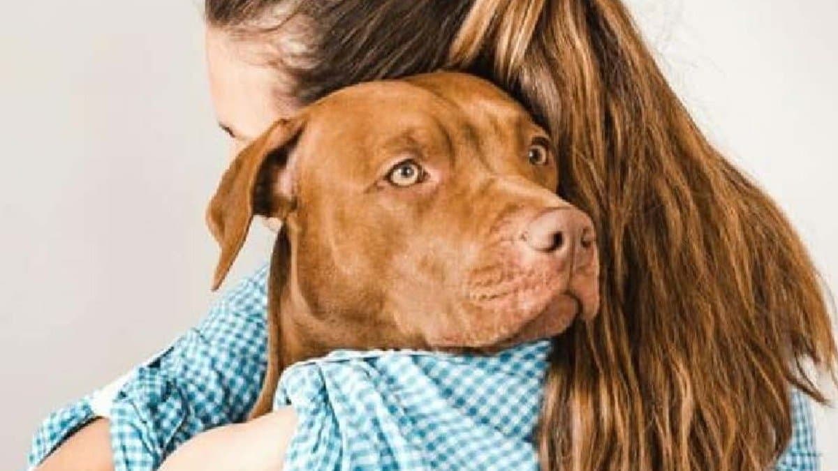 AI will soon be able to translate what your dog or cat is saying 