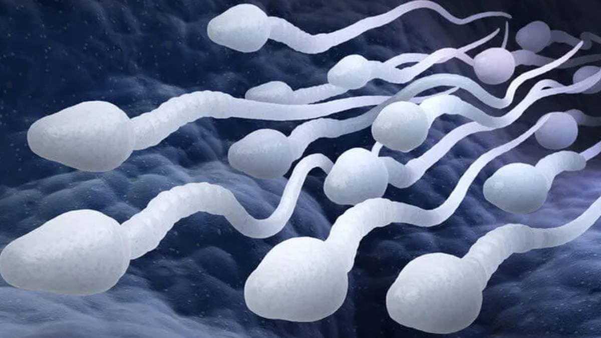 worlds first sperm race in USA