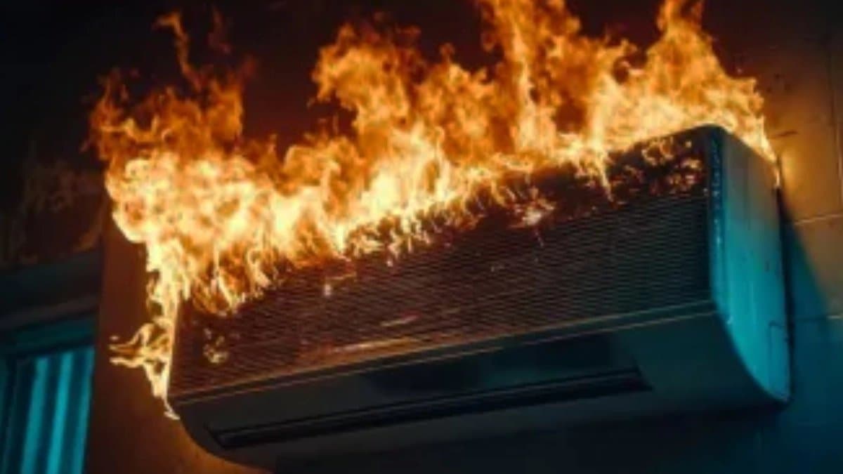 AC Blast Faridabad Man Wife Daughter Pet Dog Killed