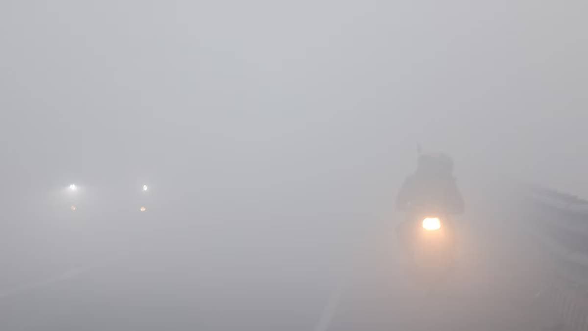 Delhi Wakes Up To Dense Fog Amid Sharp Drop In Temperature gnr