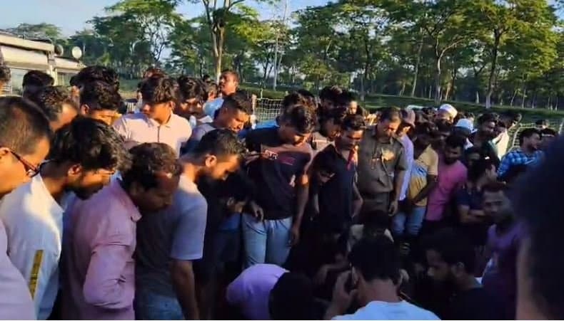 Elephant calf died in a pit of a farmland