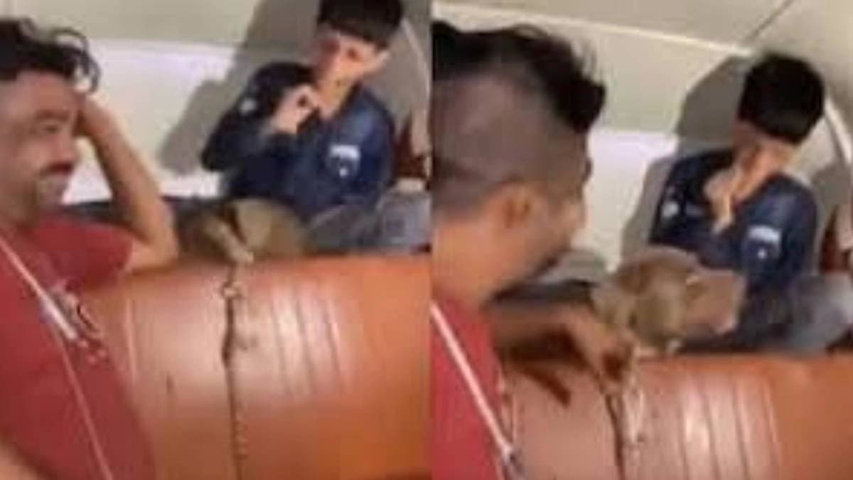 Pitbul attacks on a kid in mumbai