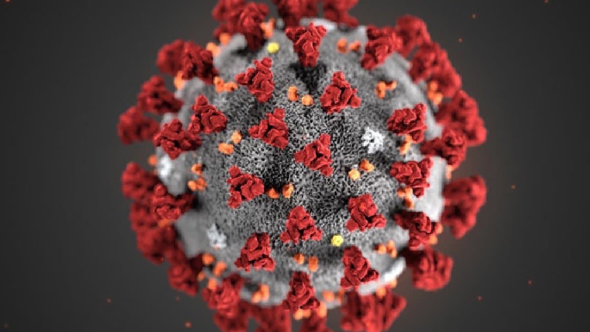 New Covid variant Stratus know about the symptoms 