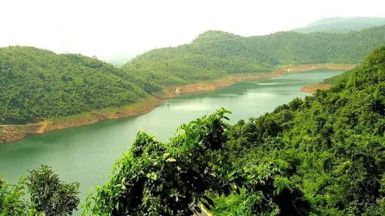 Destinations for weekend trips to nearby forests in Bengal 