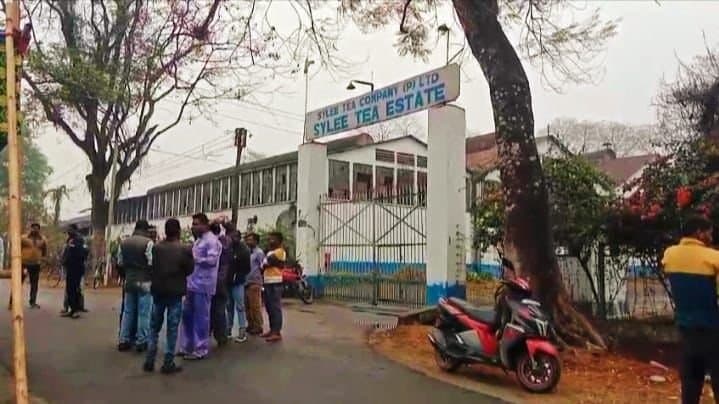 Dooars: ৫৯ দিন পর খুলল ডুয়ার্সের চা বাগান