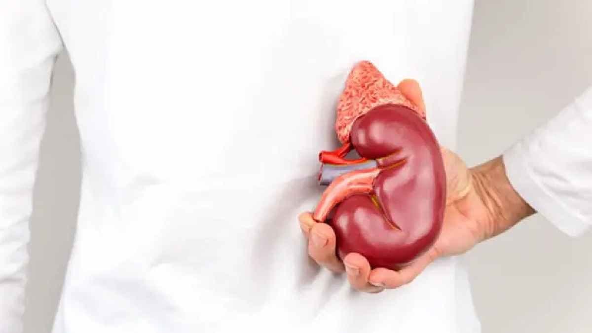 Kidney smuggling under the lure of work- Two arrested from Baruipur