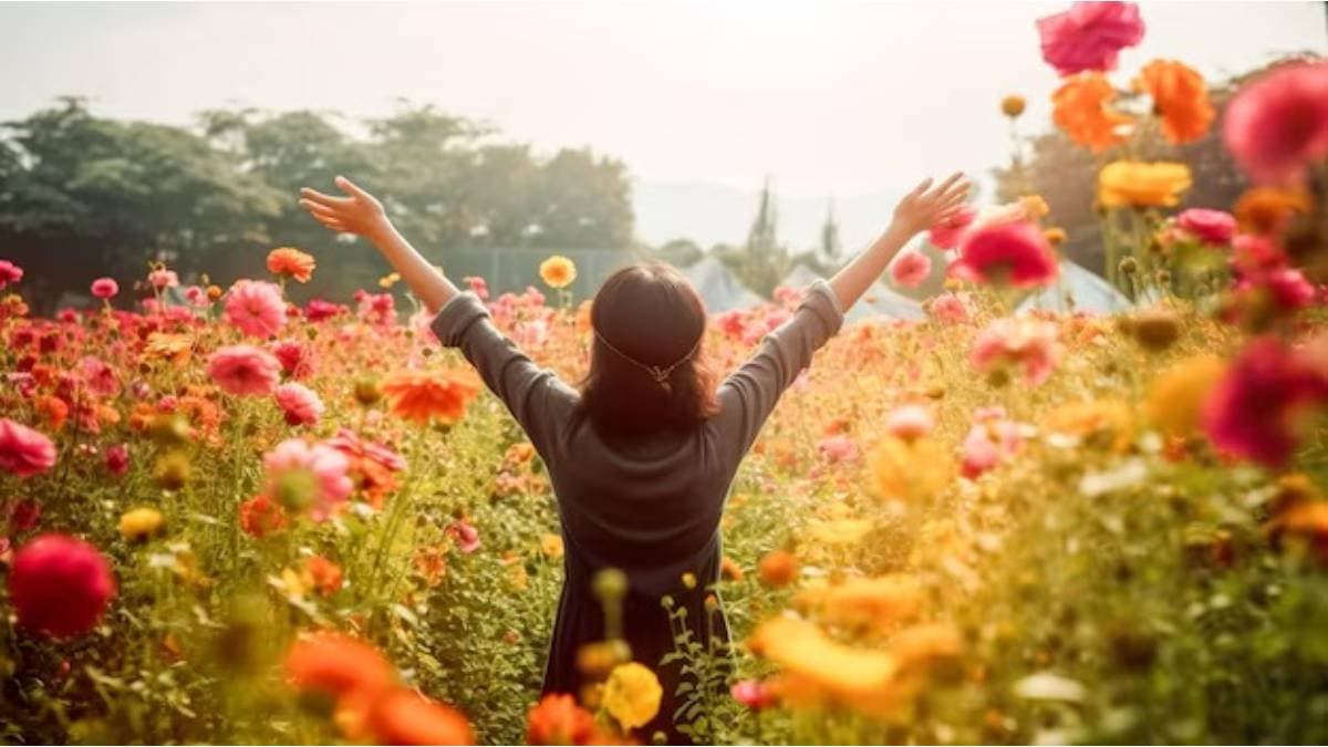 How do you reinvent yourself in this new year here is all details 