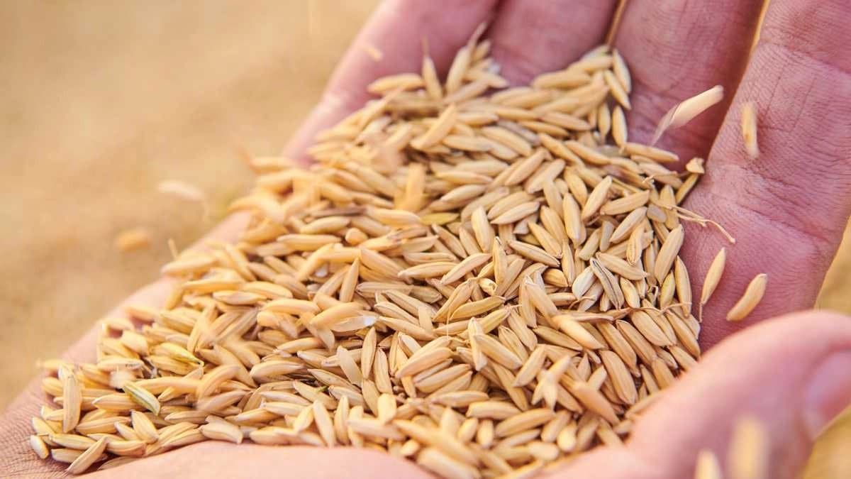 Keep these five items in your pocket to increase money