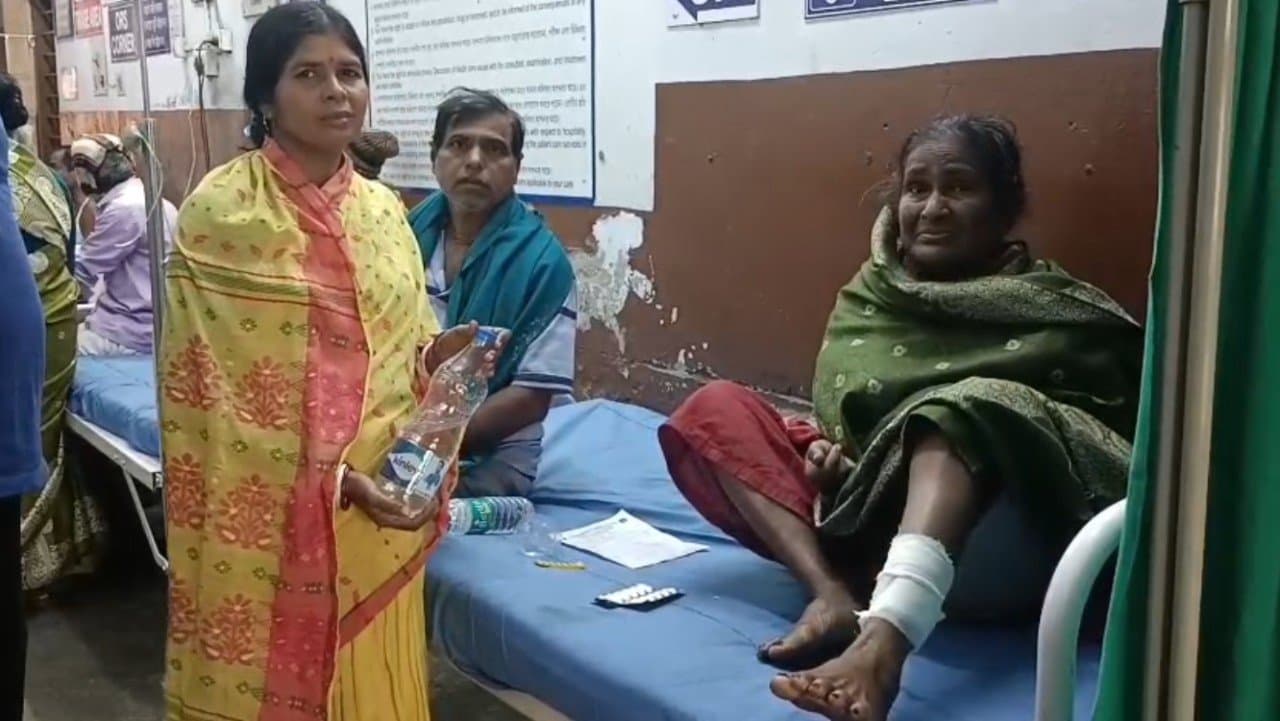 এলাকায় দাপিয়ে বেড়াচ্ছে হনুমানের দল, আক্রান্ত অনেক