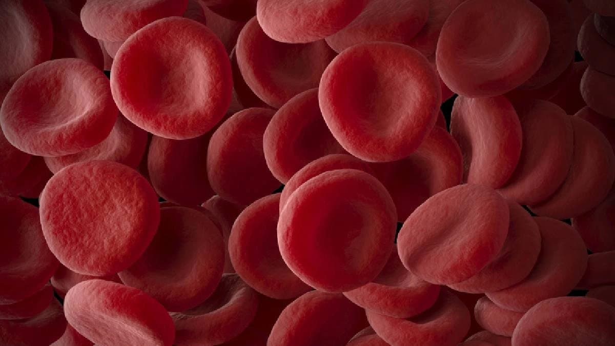 Lentils and spinach among top vegetarian foods which are iron rich