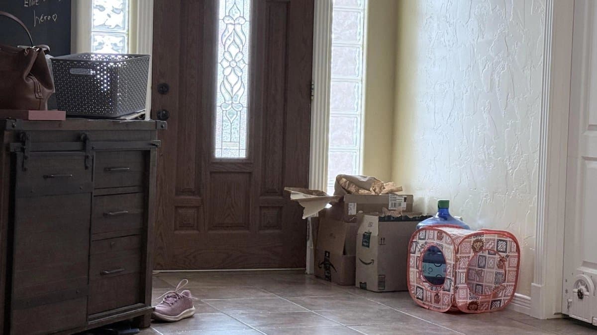 Optical Illusion: find the cat