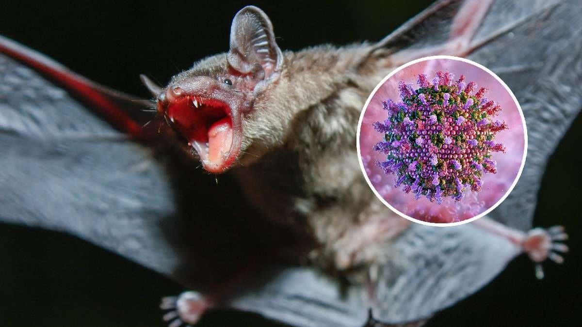 Chinese Scientists have discovered 20 new viruses