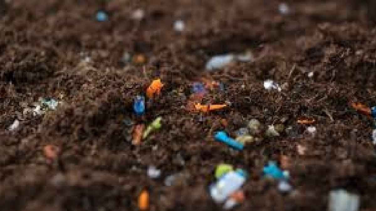 Soil of Earth is now the World biggest plastic dumping ground and harm the Ecosystems