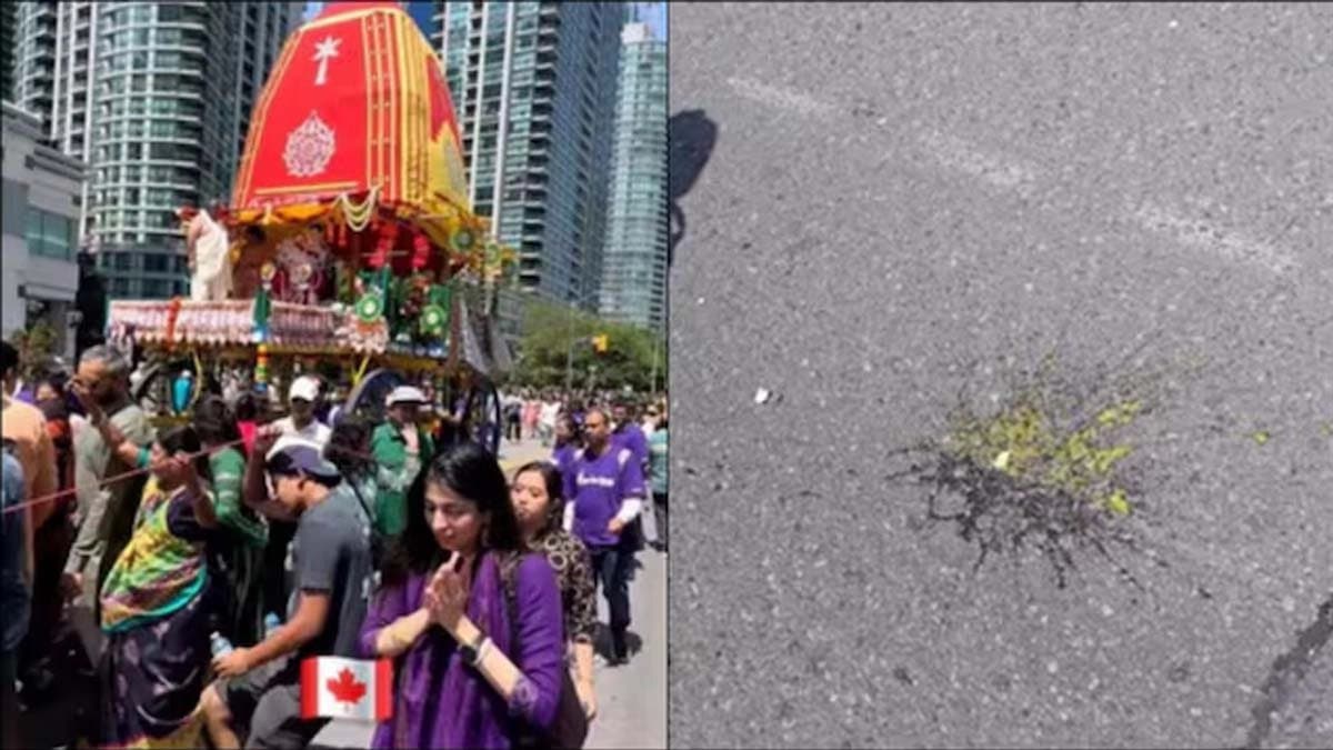 Eggs hurled at devotees during Rath Yatra in Canada MEA calls it despicable 