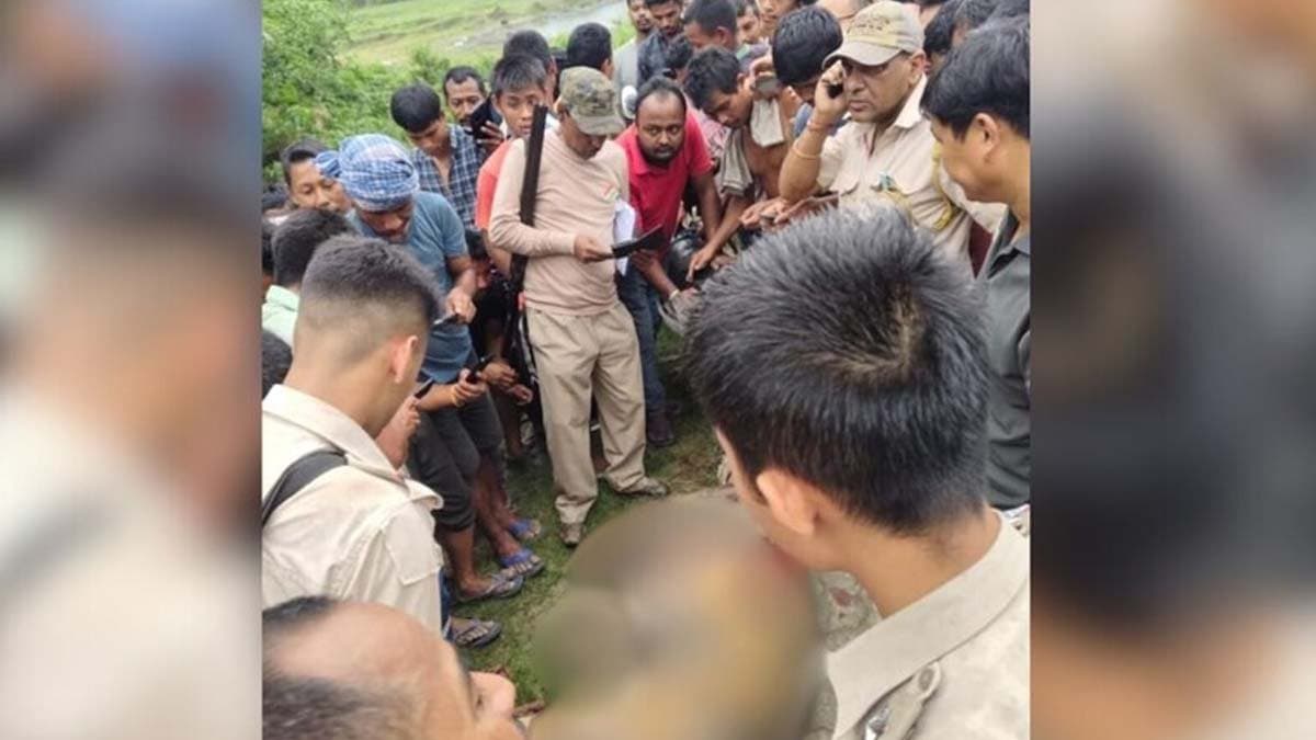 Armed mob kills royal bengal tiger in Assam Golaghat skin teeth removed
