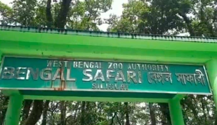 Tripura: ত্রিপুরা থেকে সিংহ দম্পতিকে আনা হল বেঙ্গল সাফারি পার্কে 