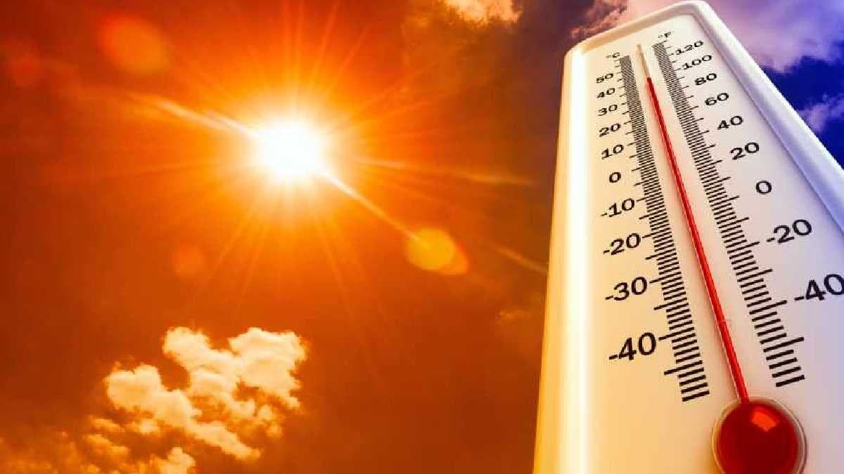 Heat wave continues in Maharashtra in March create panic