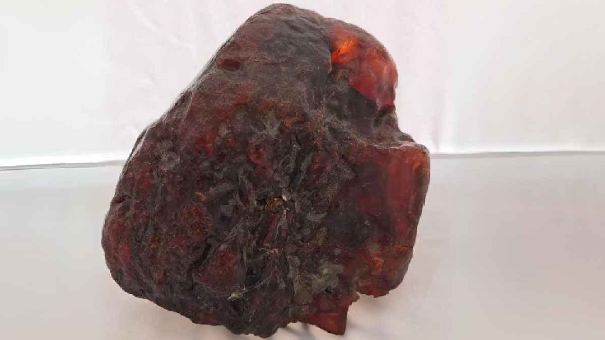 Useless Red amber rock used as doorstop for decades but it was worth million fortune