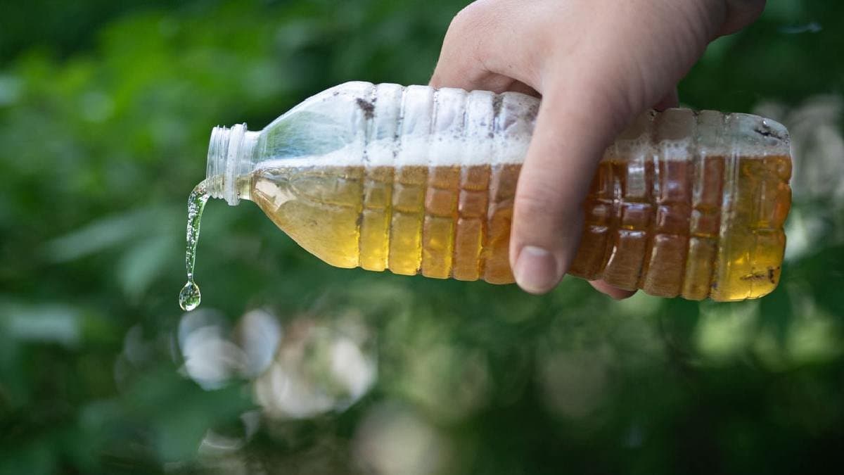 British man creates beverages from the urine of Diabetic patients