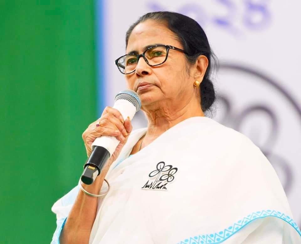 Mamata Banerjee: 'মিথ্যে কথার জন্য কান মুলে দিতে হয় ওদের': মমতা