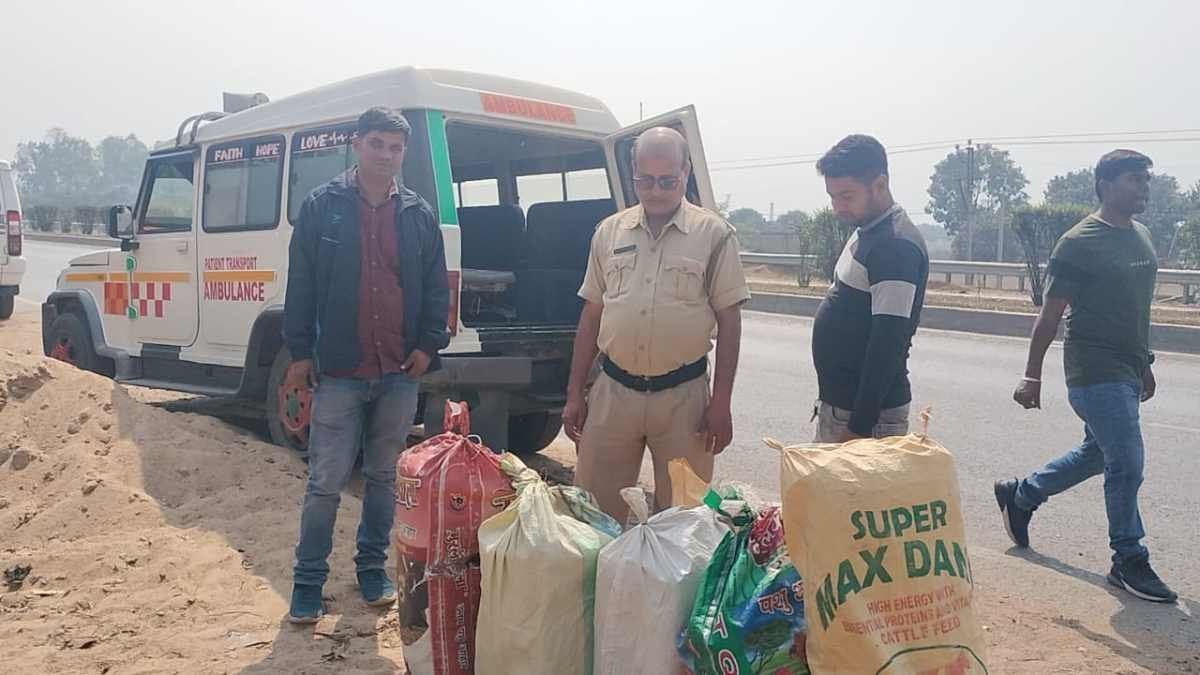 two detained while smuggling 140 kg of weed by ambulance gnr