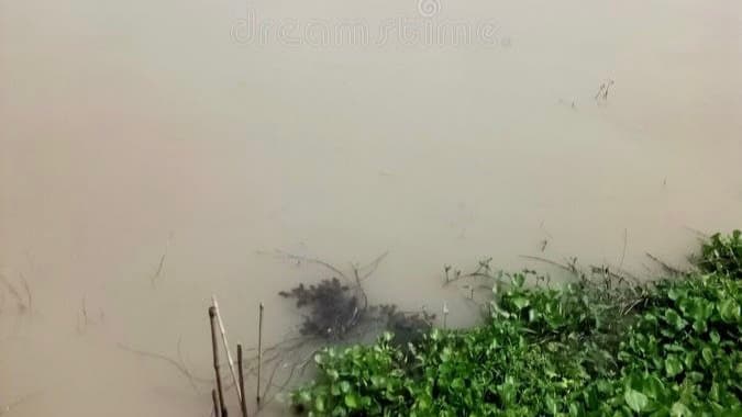 Class five student drown to death in ganga in kalna gnr 