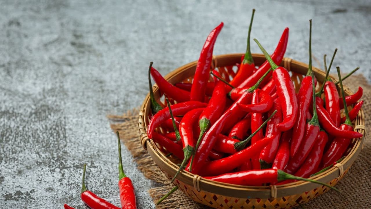 Can Eating Spicy Food Cause Stomach Cancer Know from the specialist