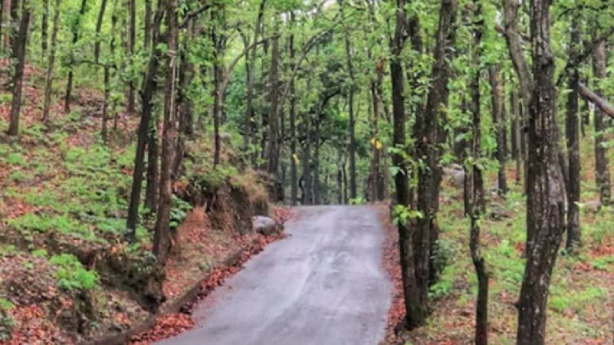 CAG report showing forest funds used for buying iPhones laptops In Uttarakhand 