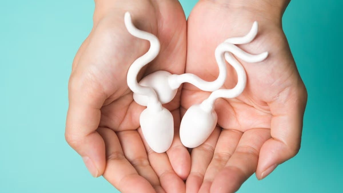 New survey suggests that sperms can tell a lot about your life span
