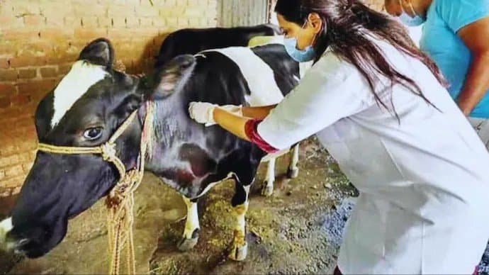 Kerala sets up control room to ensure safety of animals stranded in landslides gnr 