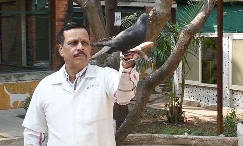 Mumbai: ৮ মাস পর মুক্তি পেল গুপ্তচর সন্দেহে বন্দি থাকা পায়রা