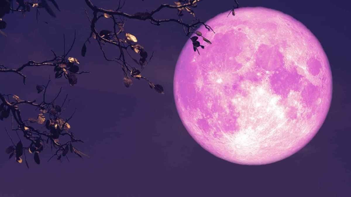 গোলাপী চাঁদের দেখা মিলবে চলতি মাসেই, কোন রহস্য তৈরি হবে আকাশের বুকে 