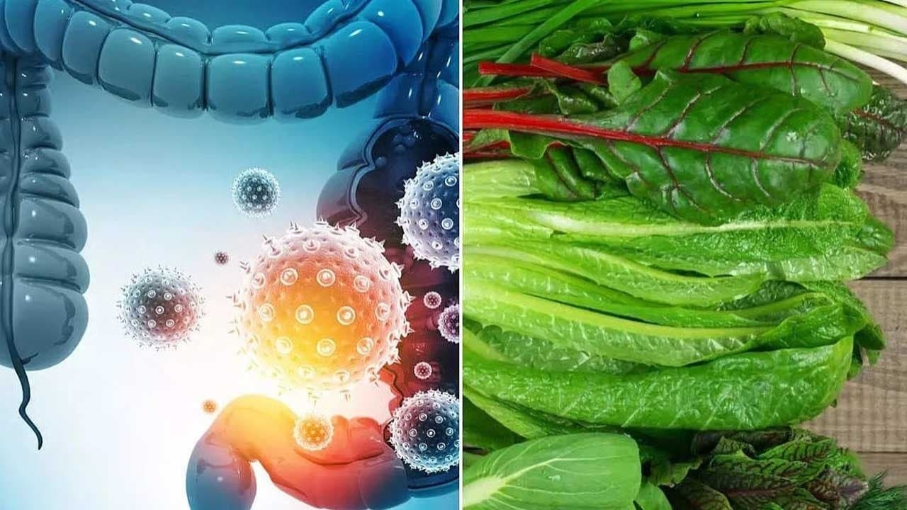 This vegetable can heal the gut faster than any medicine and cost just under 20 rupees