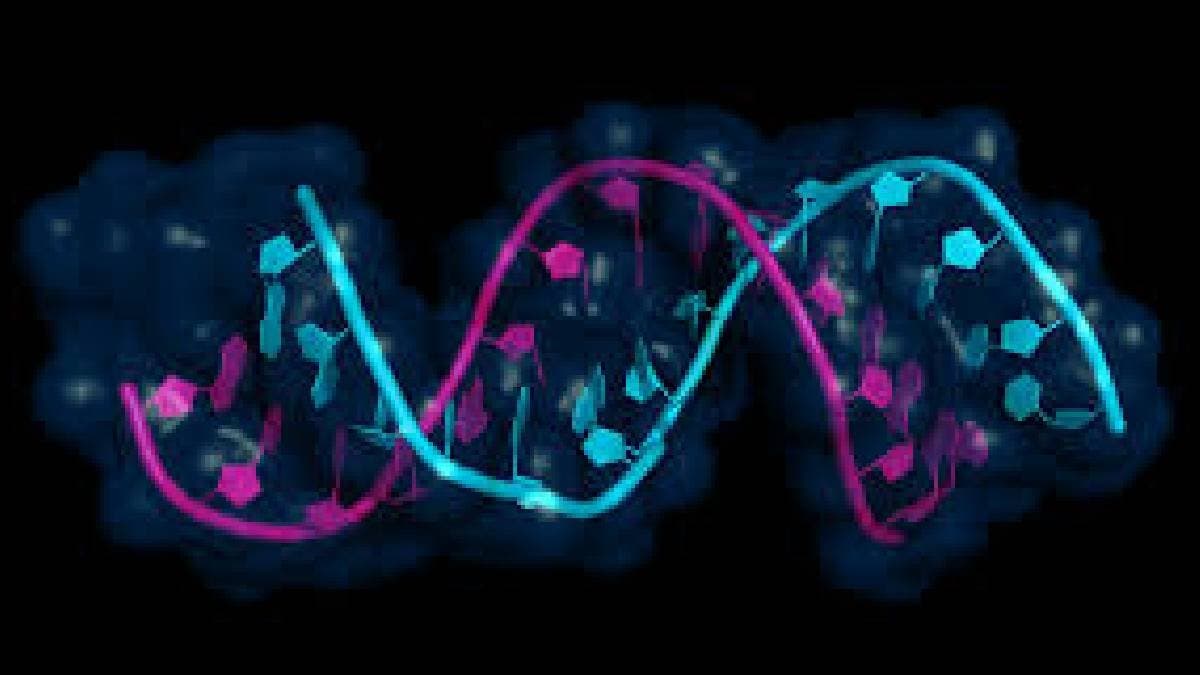 Ai model predicts gene activity in any human cell gnr