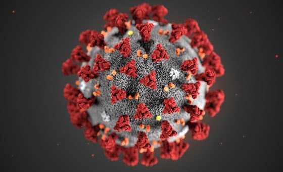 kolkata woman detected human corona virus in garia