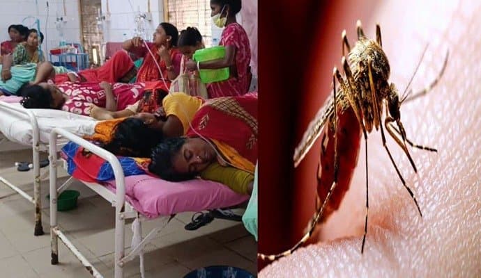 Nursing student dies in Kolkata due to Dengue Fever 
