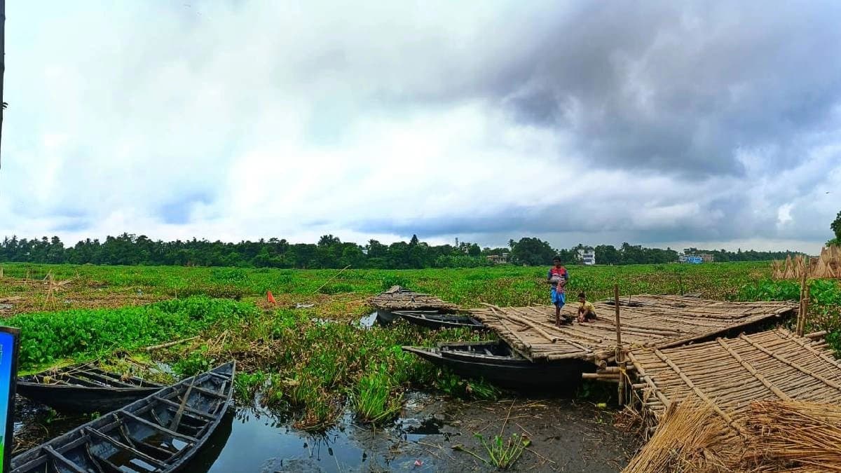  A school in West Bengal postponed the exam for water hyacinth