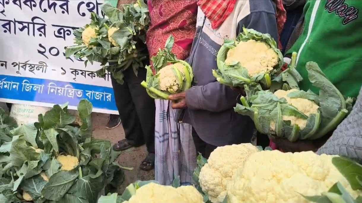 Cauliflower is being sold one rupee each in purba bardhaman gnr 