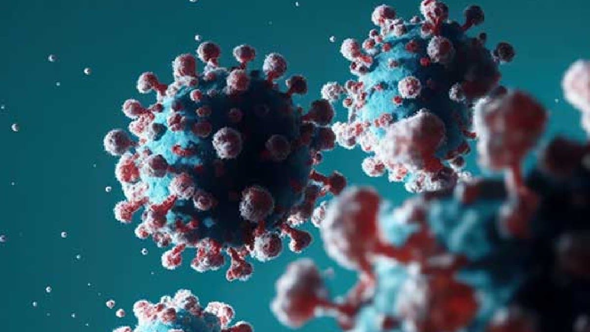 COVID 19 Update report says Covid 19 variant XFG detected in 163 cases in India