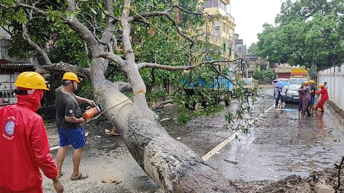 টানা বর্ষণে বিপর্যস্ত ত্রিপুরা, জলমগ্ন জাতীয় সড়ক, বজ্রপাতে মৃত্যু হাতির