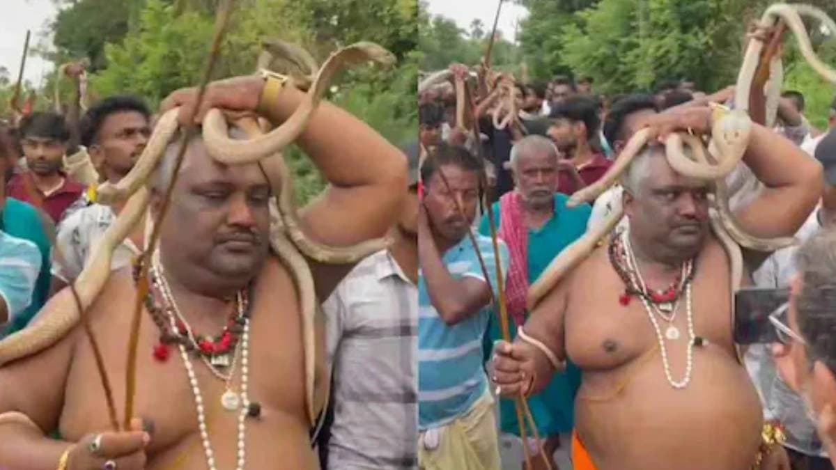 Bihar nagpanchami procession video sparks debate
